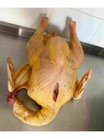 SİYAH KÖY HİNDİSİ 4 - 4,5 KG