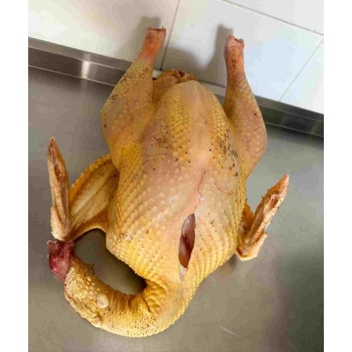 SİYAH KÖY HİNDİSİ 4 - 4,5 KG