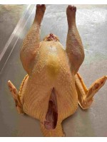 SİYAH KÖY HİNDİSİ 4 - 4,5 KG