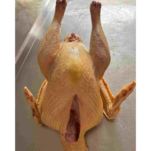 SİYAH KÖY HİNDİSİ 4 - 4,5 KG