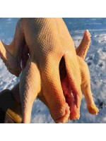 ORGANİK KAZ ETİ (3 - 3,5 KG)